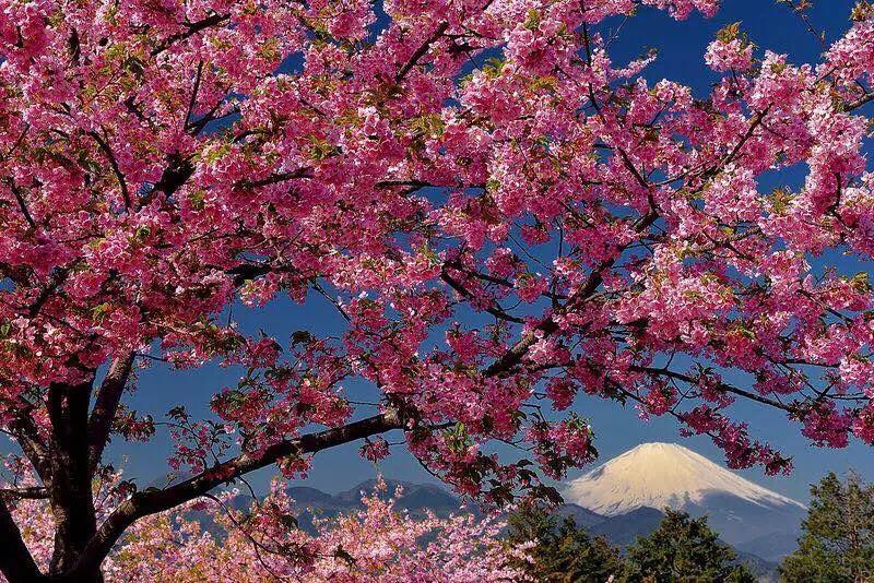 Hakone Pacific Hotel Luaran gambar