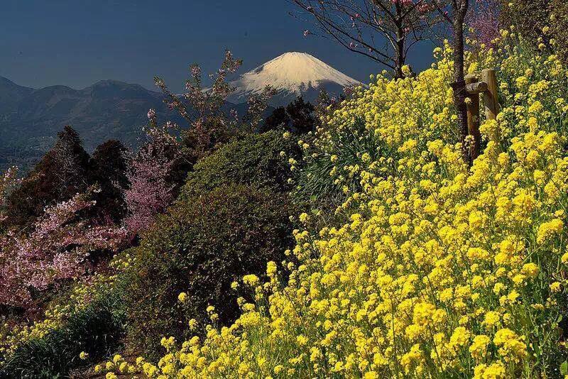 Hakone Pacific Hotel Luaran gambar