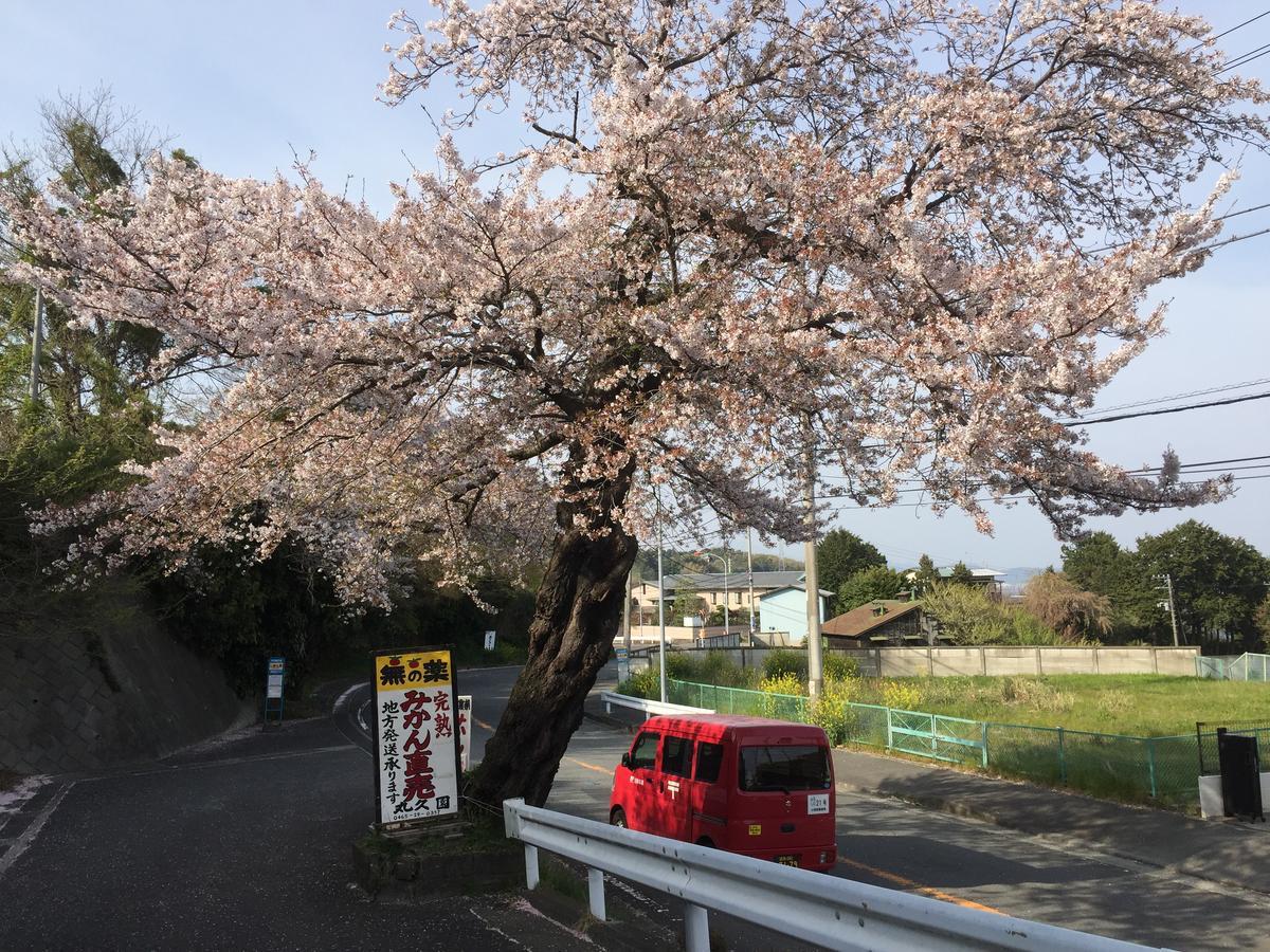 Hakone Pacific Hotel Luaran gambar