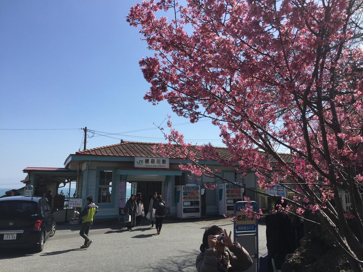 Hakone Pacific Hotel Luaran gambar