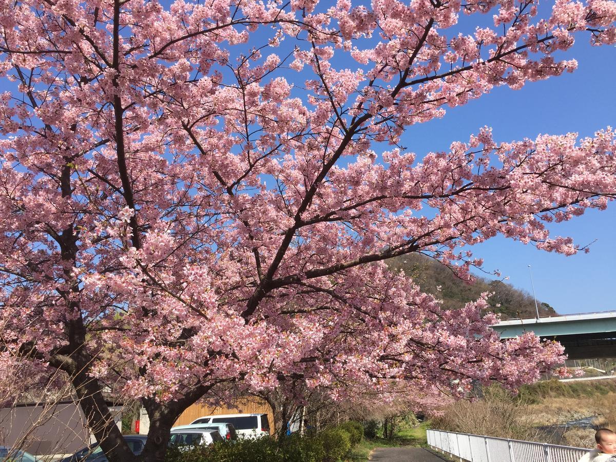 Hakone Pacific Hotel Luaran gambar