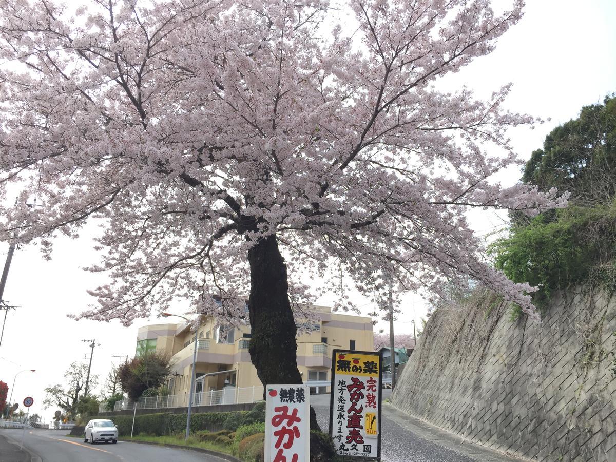 Hakone Pacific Hotel Luaran gambar