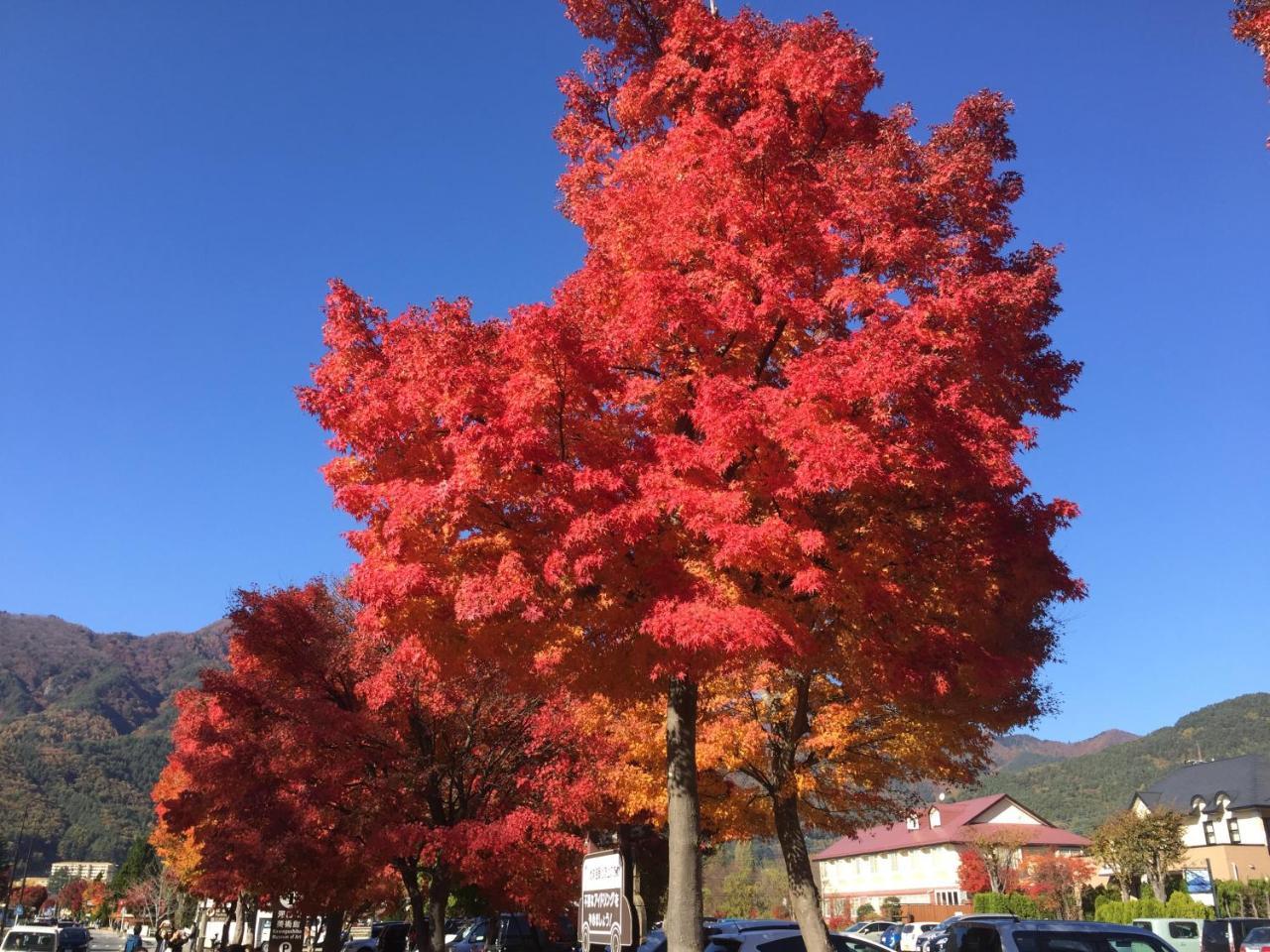 Hakone Pacific Hotel Luaran gambar